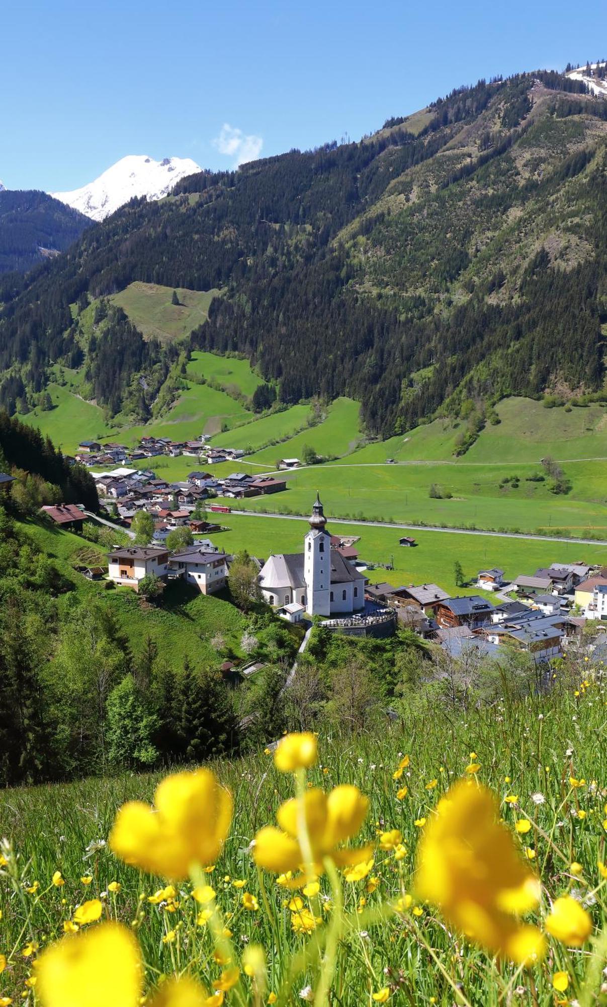 Wallnerhof Grossarl Luaran gambar